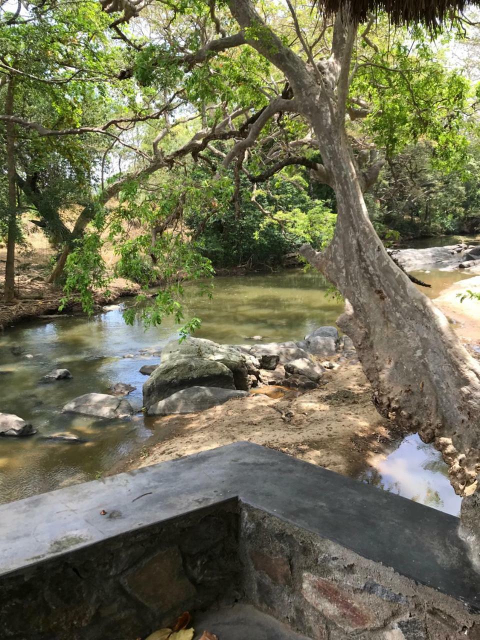 Galapita Eco Lodge Buttala Εξωτερικό φωτογραφία