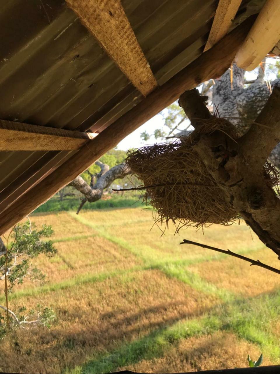Galapita Eco Lodge Buttala Εξωτερικό φωτογραφία