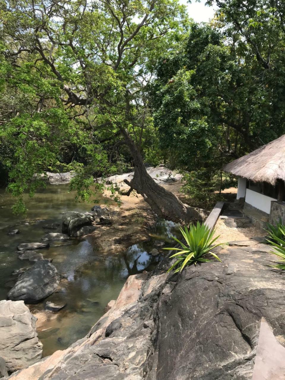 Galapita Eco Lodge Buttala Εξωτερικό φωτογραφία