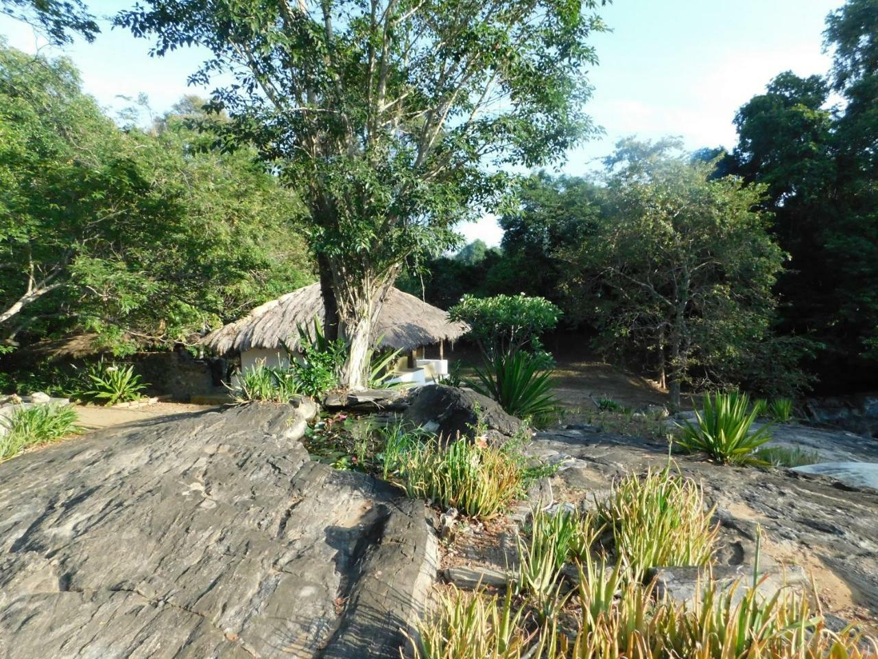 Galapita Eco Lodge Buttala Δωμάτιο φωτογραφία