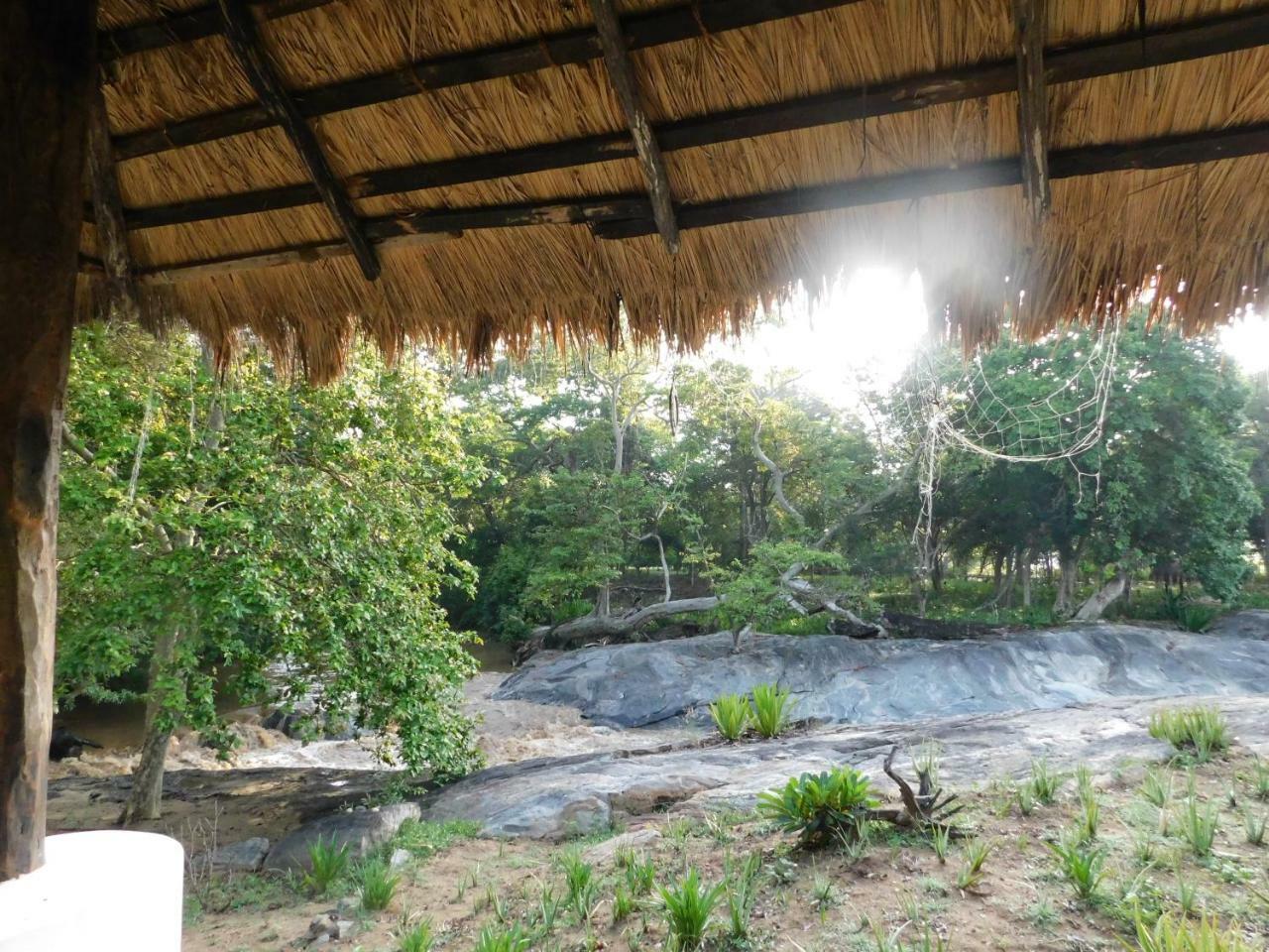 Galapita Eco Lodge Buttala Δωμάτιο φωτογραφία
