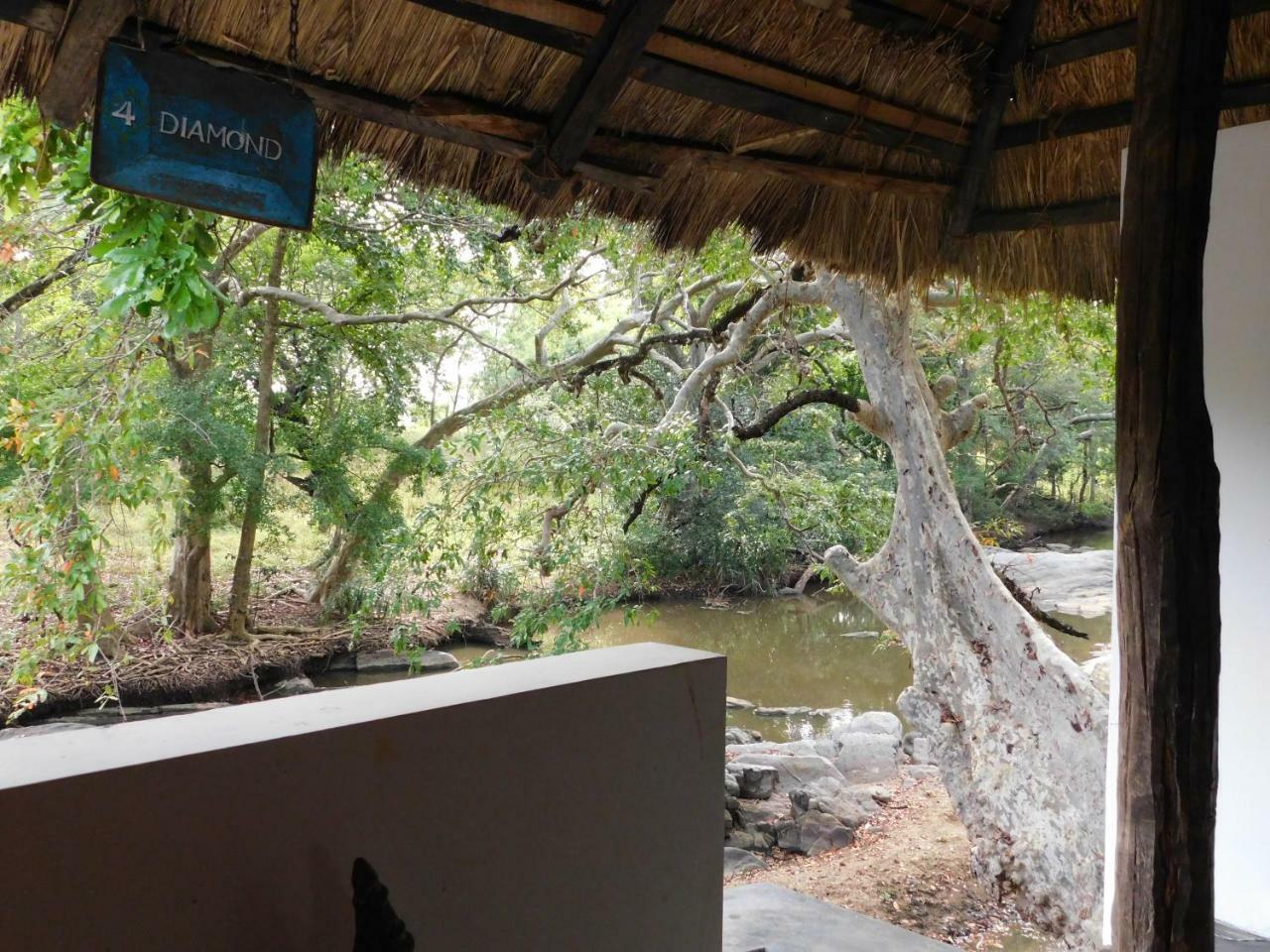 Galapita Eco Lodge Buttala Δωμάτιο φωτογραφία