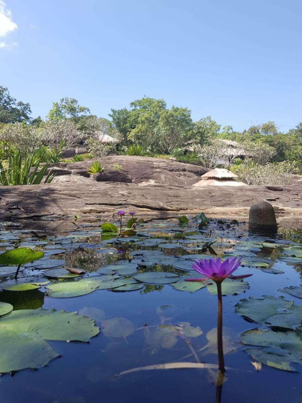 Galapita Eco Lodge Buttala Εξωτερικό φωτογραφία