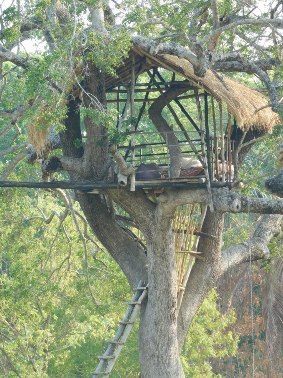 Galapita Eco Lodge Buttala Εξωτερικό φωτογραφία